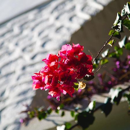 Hotel Karia Princess Bodrum Eksteriør bilde