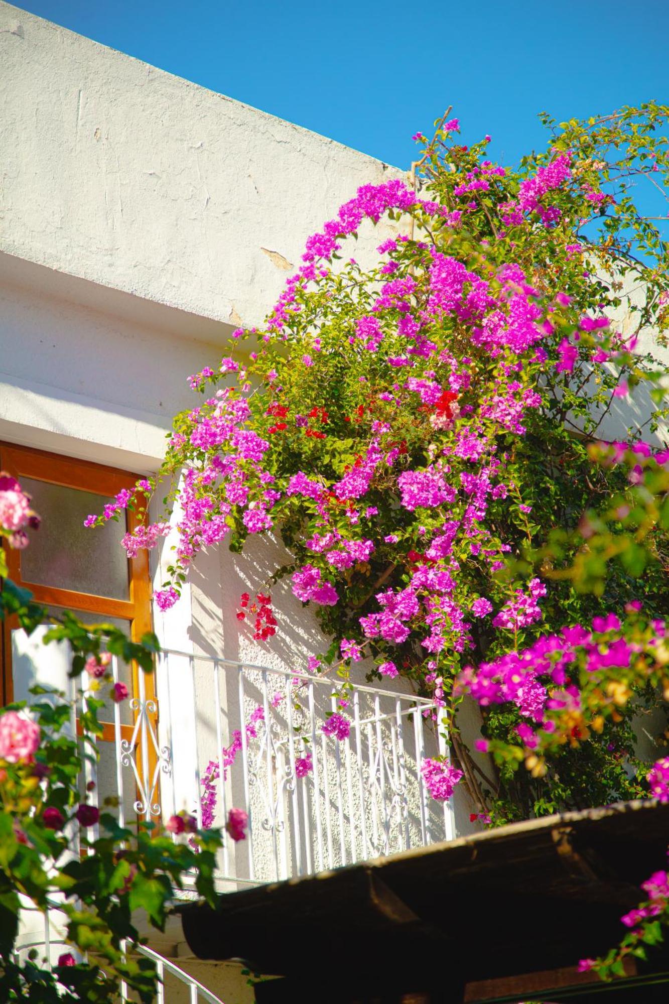 Hotel Karia Princess Bodrum Eksteriør bilde